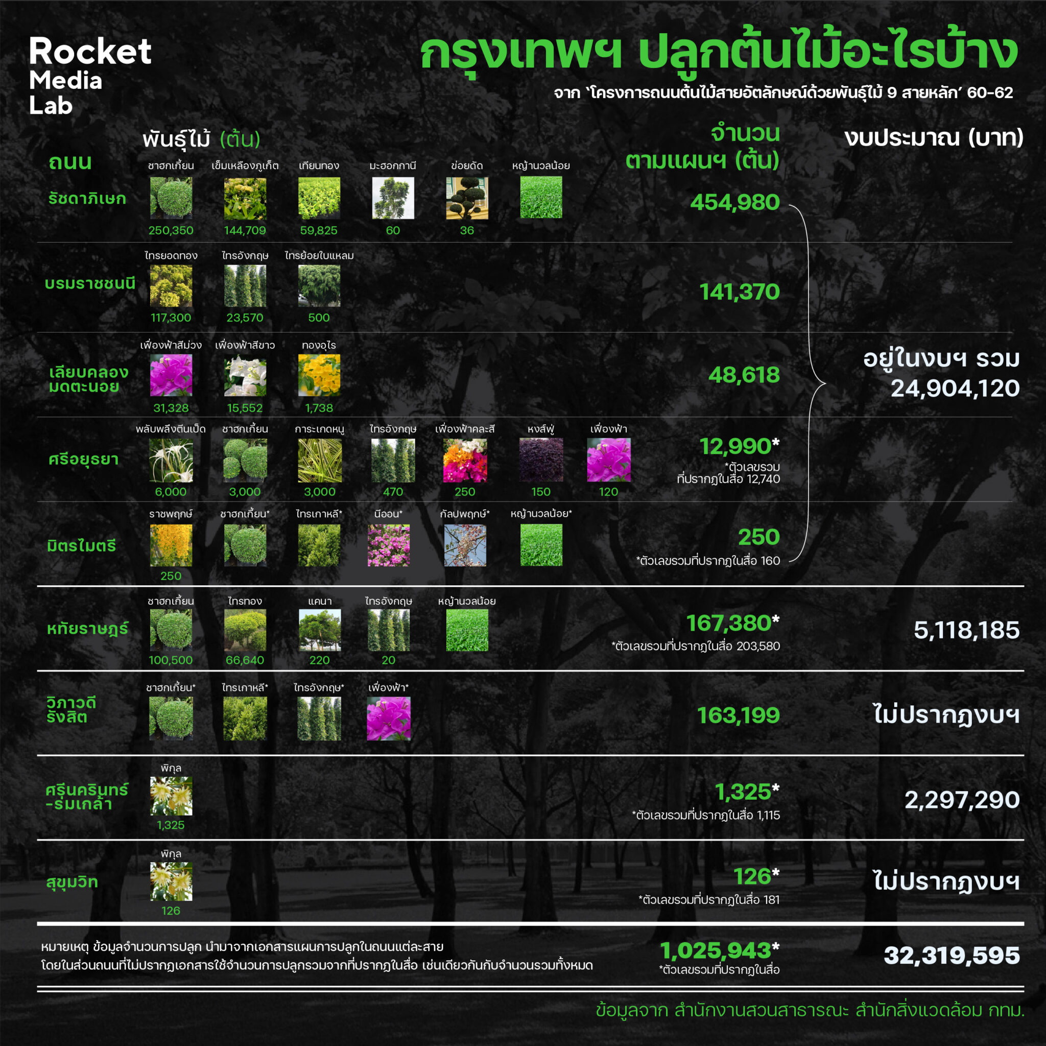 My Image 31